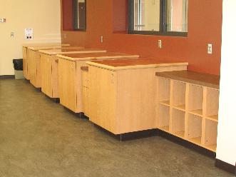 Custom Plastic Laminate Casework, Plastic Laminate Roll Out Carts, Solid Surface and Plastic Laminate Countertops